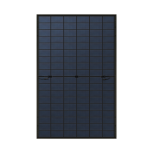 Indevolt Bifaziale Monokristalline Solarmodule (440W, 2er-Pack)